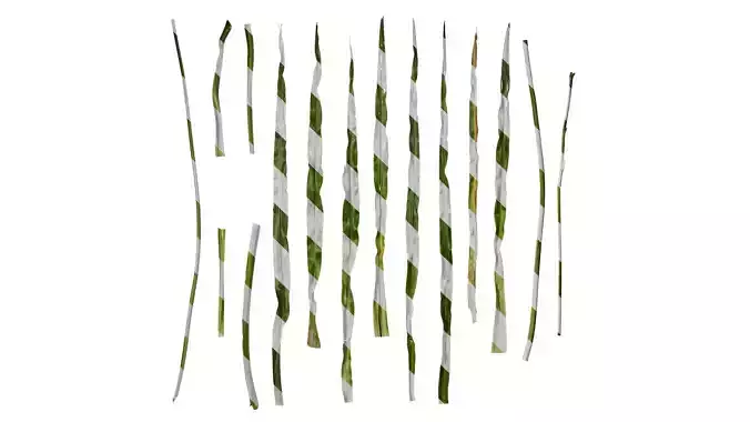 Anydrafts Hemerocallis fulva Leaf 02