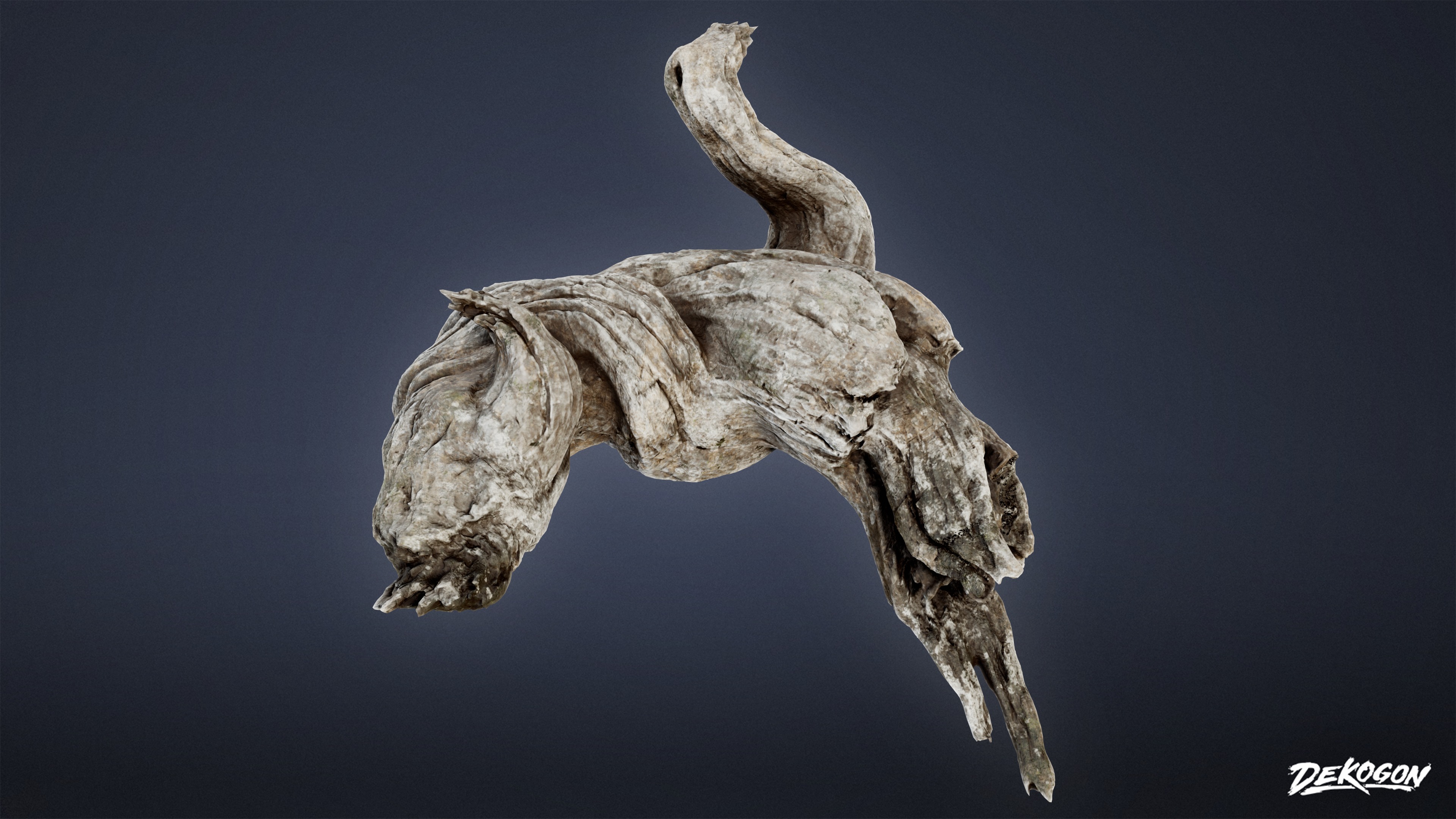 FOLIAGE - Driftwood 1011 - LOW POLY AND NANITE Low-poly 3D model_1