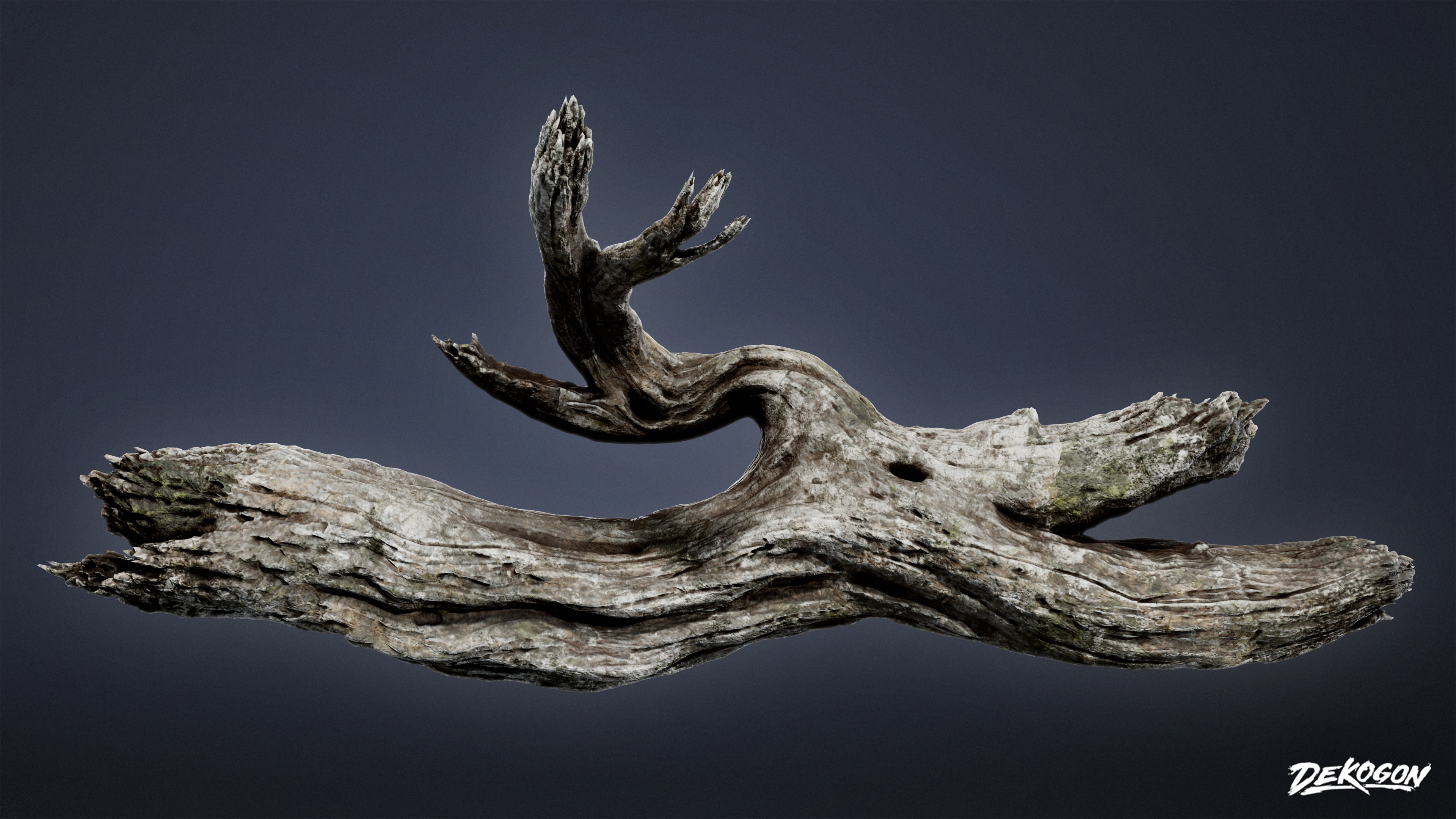 FOLIAGE - Driftwood 1011 - LOW POLY AND NANITE Low-poly 3D model_3