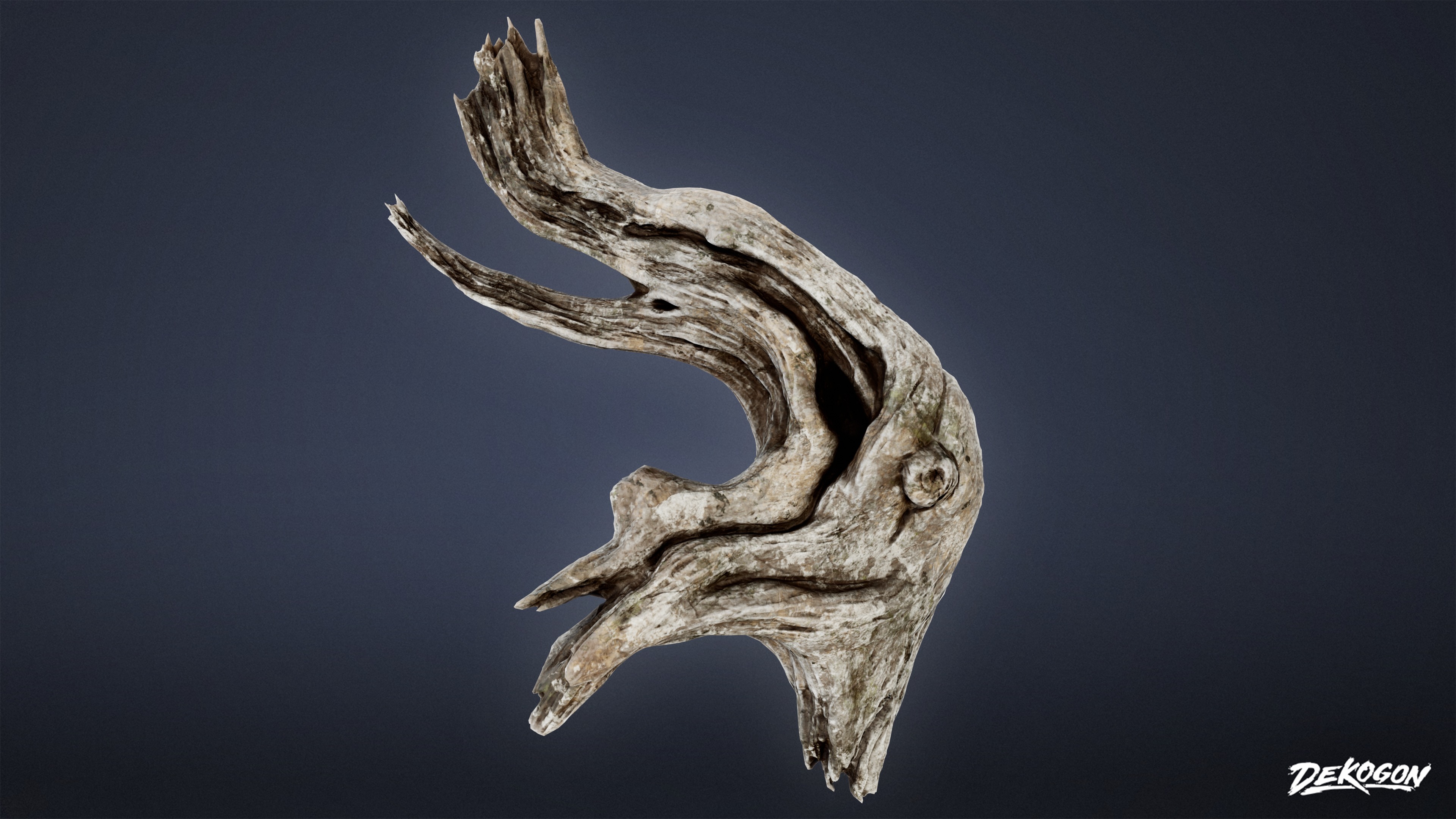 FOLIAGE - Driftwood 1011 - LOW POLY AND NANITE Low-poly 3D model_6