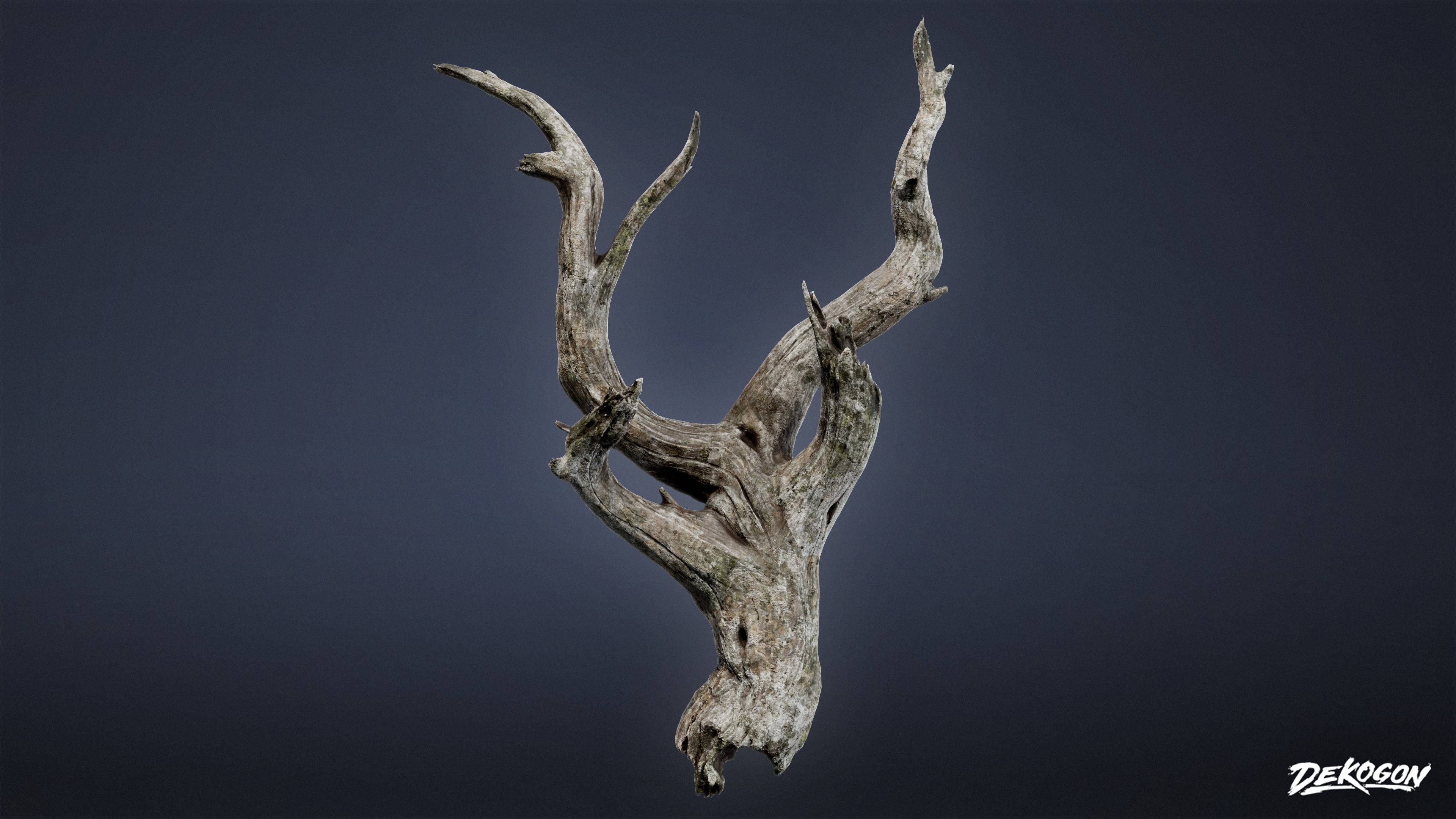 FOLIAGE - Driftwood 1011 - LOW POLY AND NANITE Low-poly 3D model_2