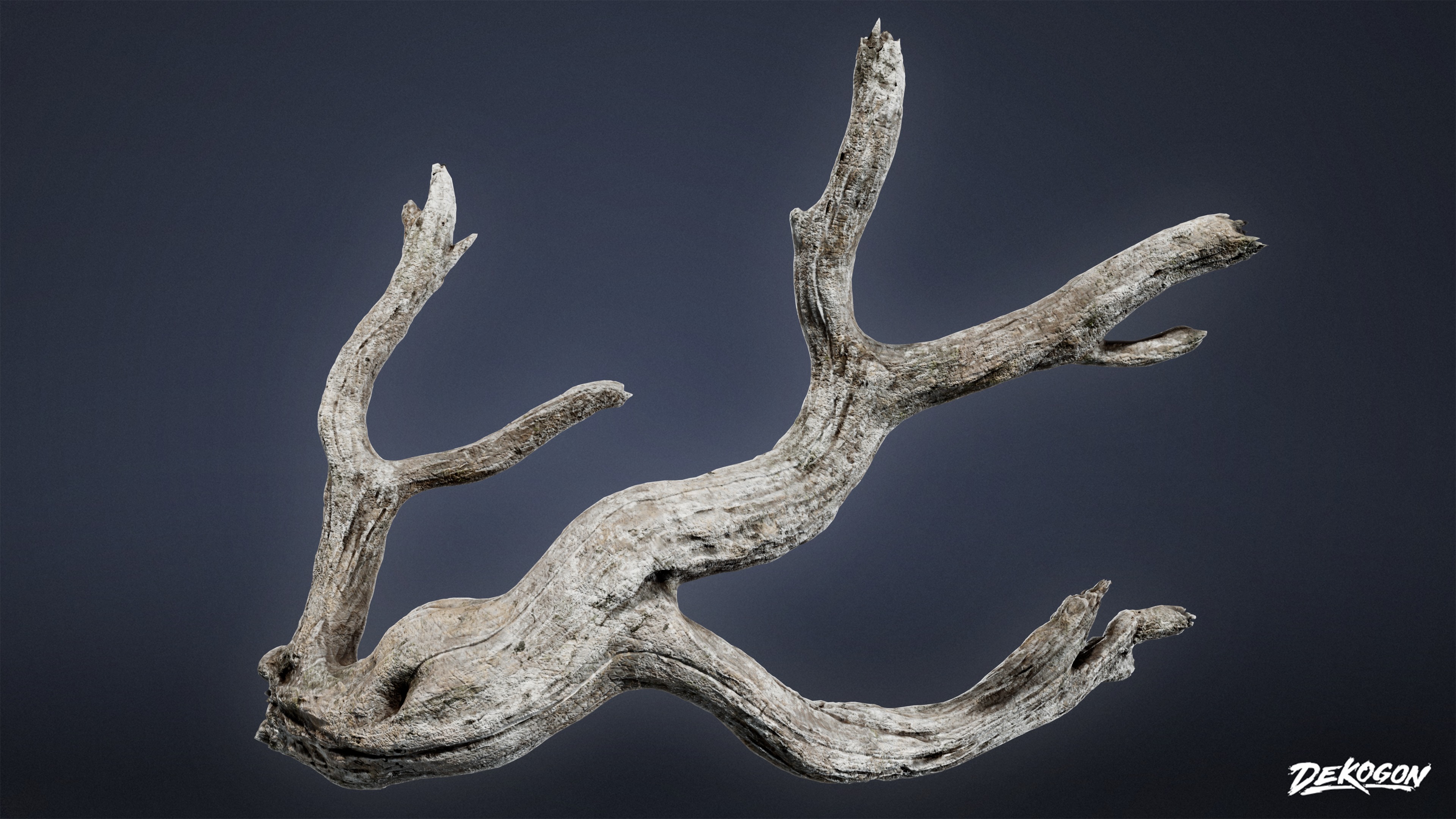 FOLIAGE - Driftwood 1011 - LOW POLY AND NANITE Low-poly 3D model_5