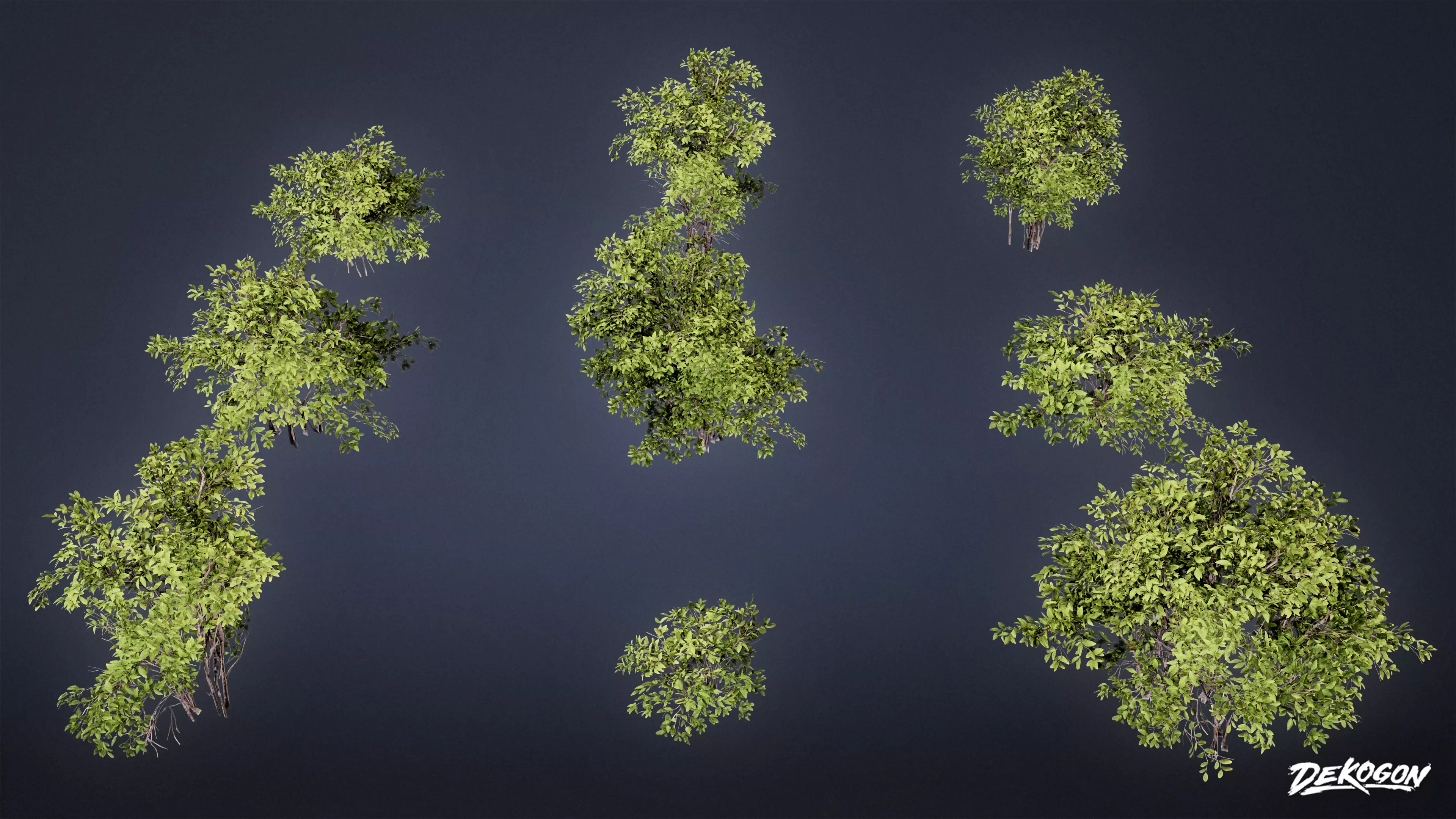 FOLIAGE - Euonymus Bush 01 - LOW POLY Low-poly 3D model_0