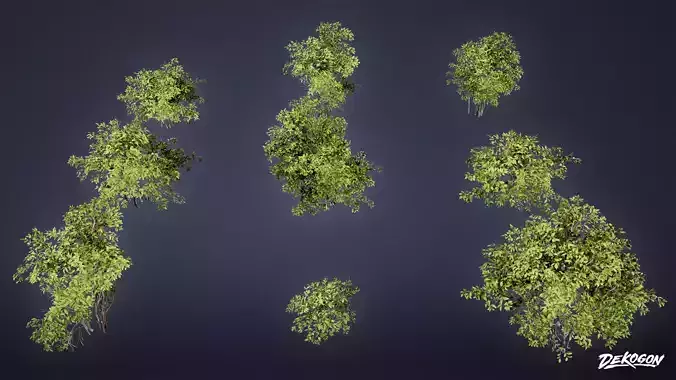 FOLIAGE - Euonymus Bush 01 - LOW POLY Low-poly 3D model