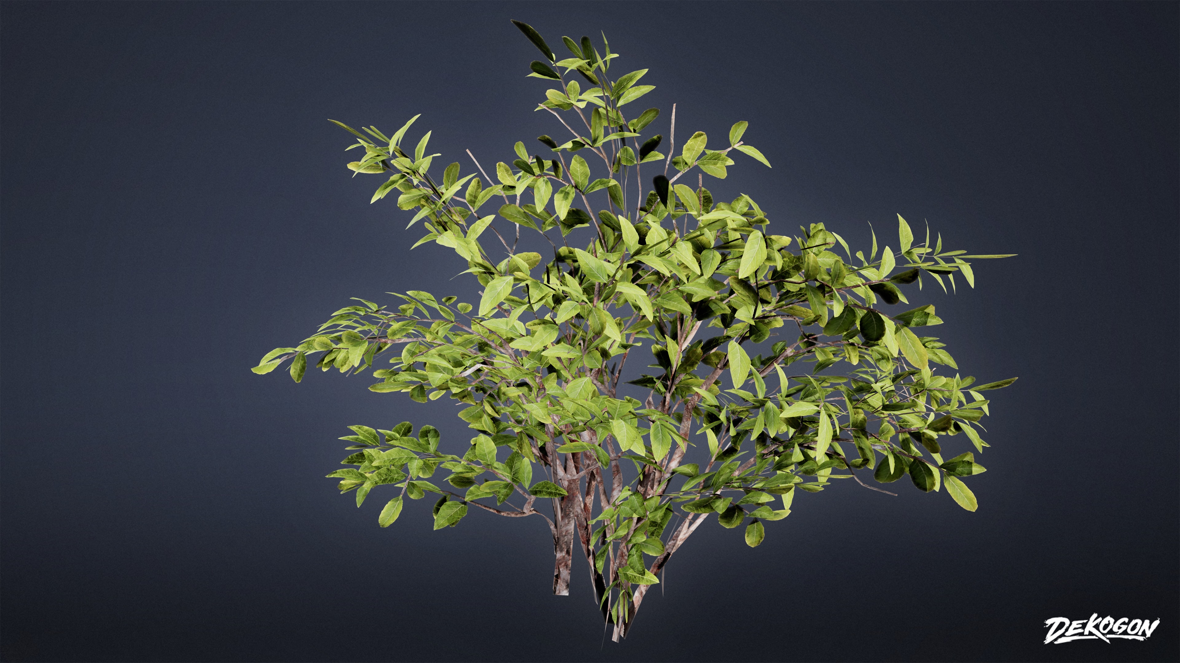 FOLIAGE - Euonymus Bush 01 - LOW POLY Low-poly 3D model_7