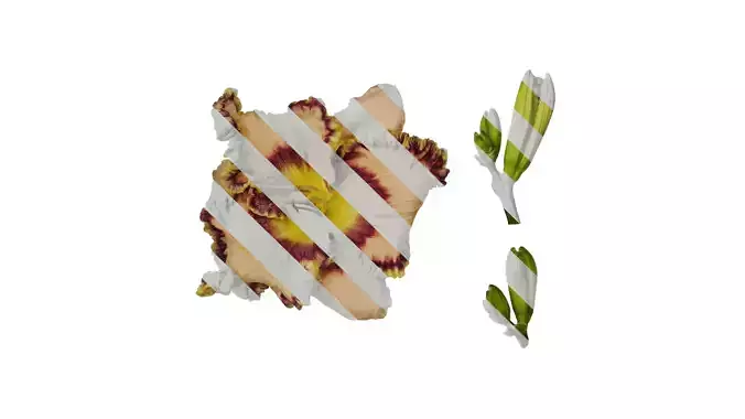 Anydrafts Hemerocallis hybridus Flower 01