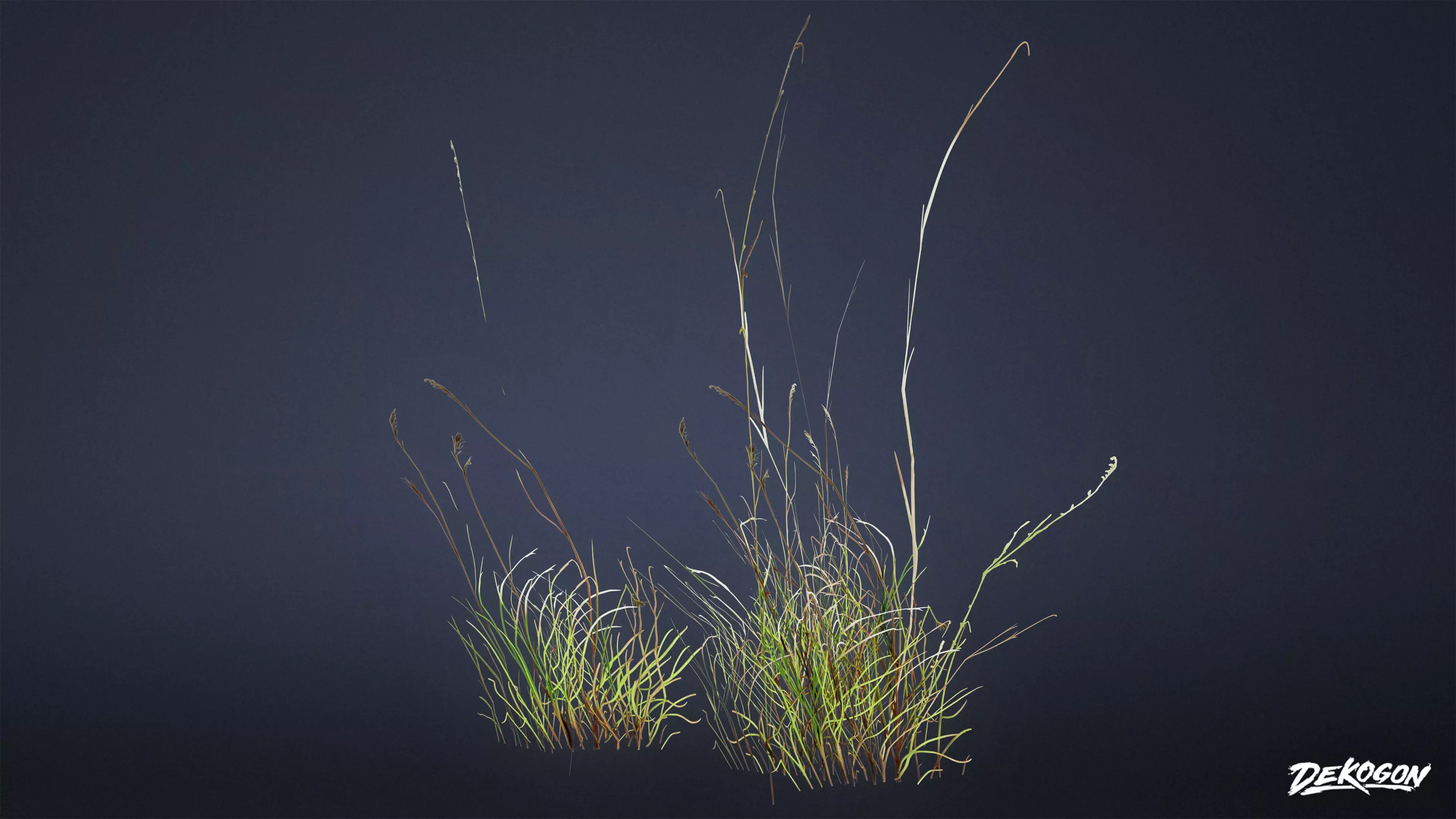 FOLIAGE - Grass Dry Tall 01 - LOW POLY Low-poly 3D model