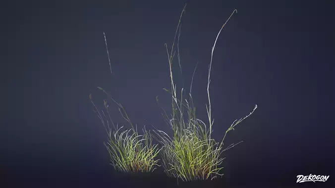 FOLIAGE - Grass Dry Tall 01 - LOW POLY