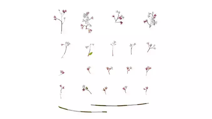 Anydrafts Heuchera micrantha Flower 06