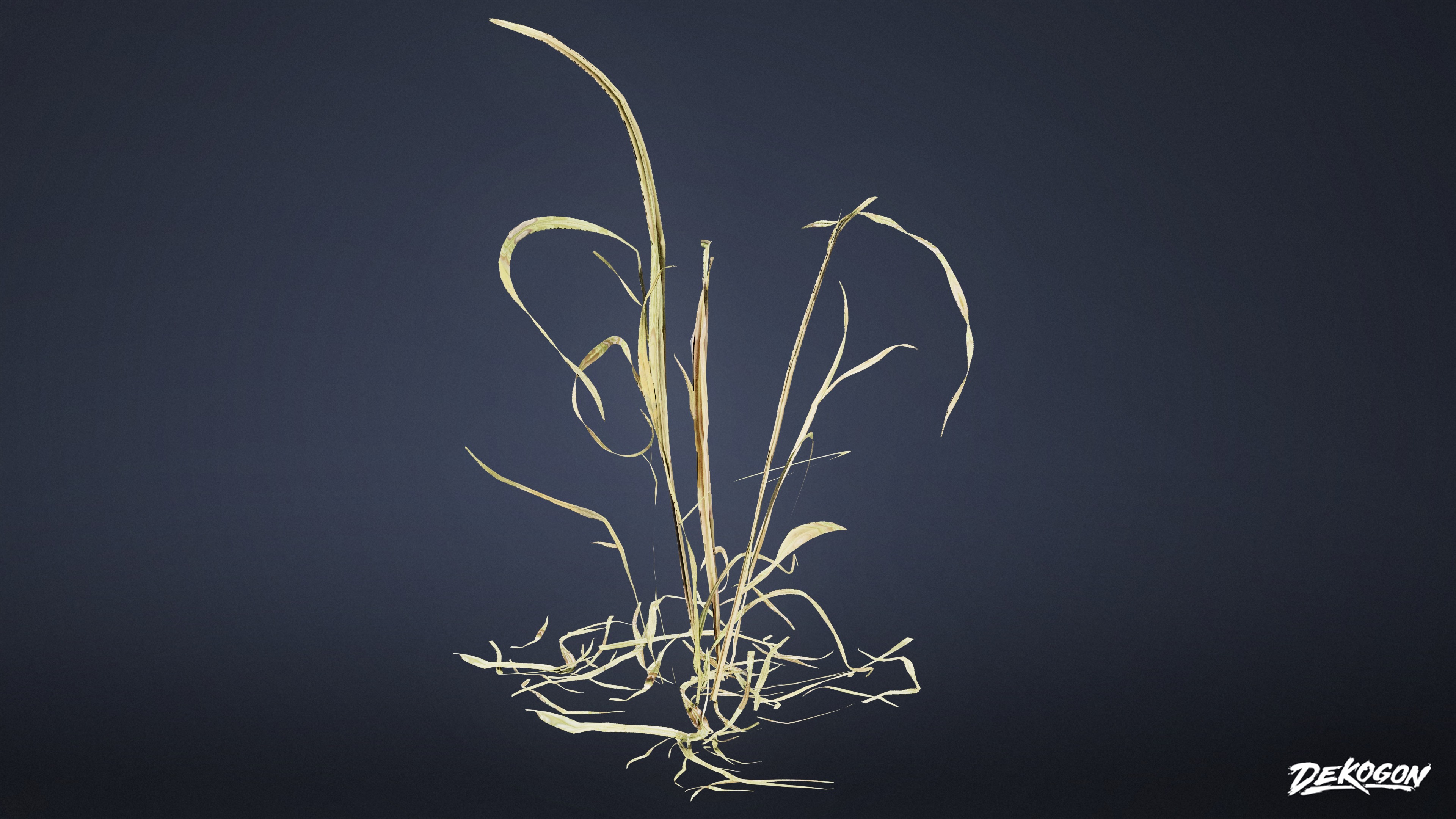 FOLIAGE - Grass Tall Wild 01 - LOW POLY Low-poly 3D model_6