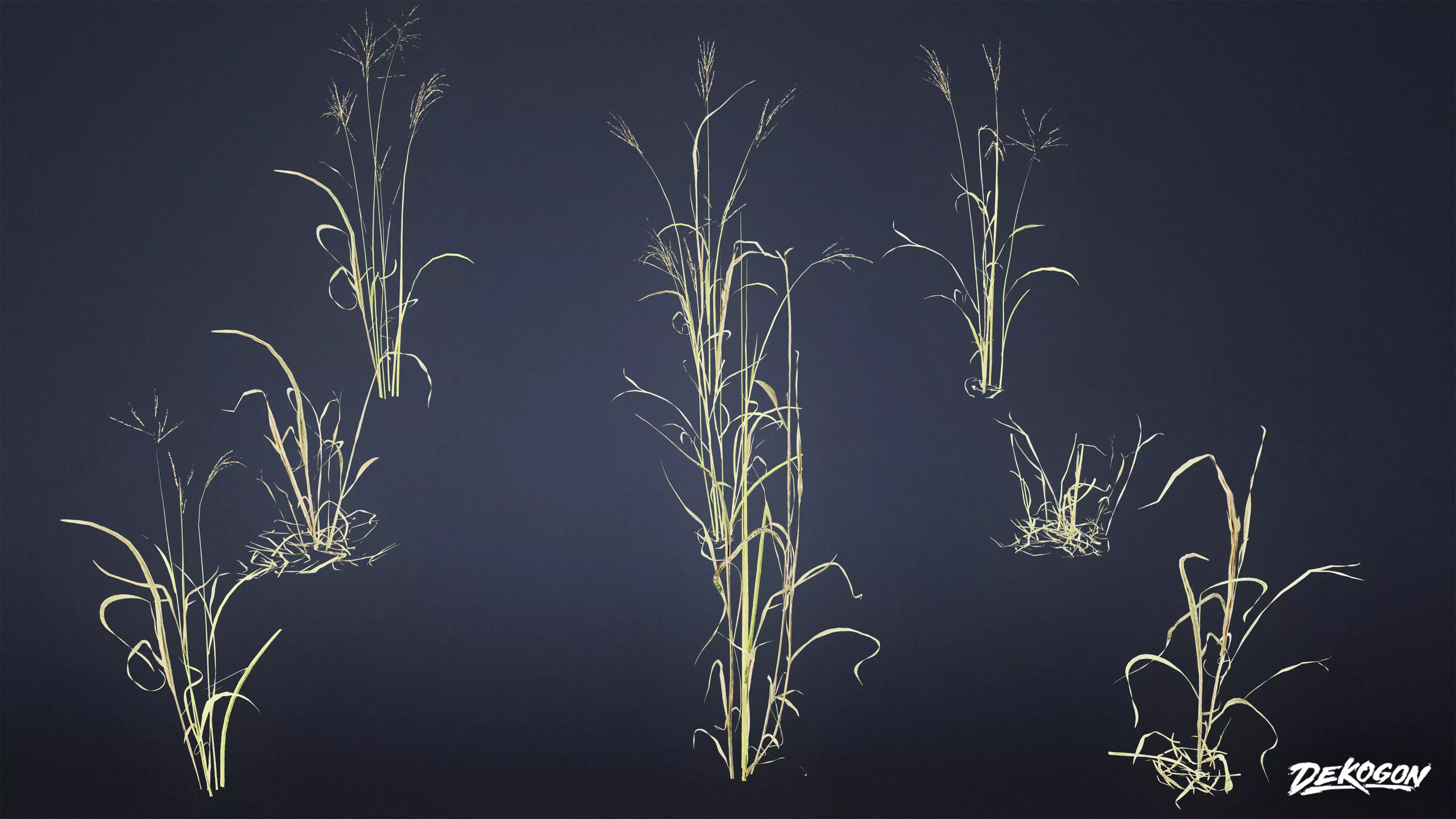 FOLIAGE - Grass Tall Wild 01 - LOW POLY Low-poly 3D model_0