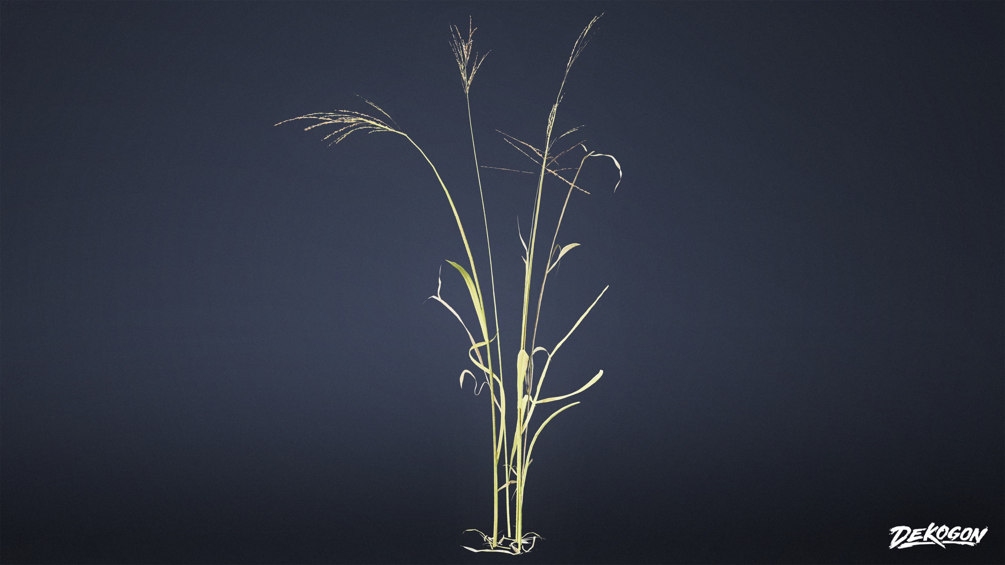 FOLIAGE - Grass Tall Wild 01 - LOW POLY Low-poly 3D model_2