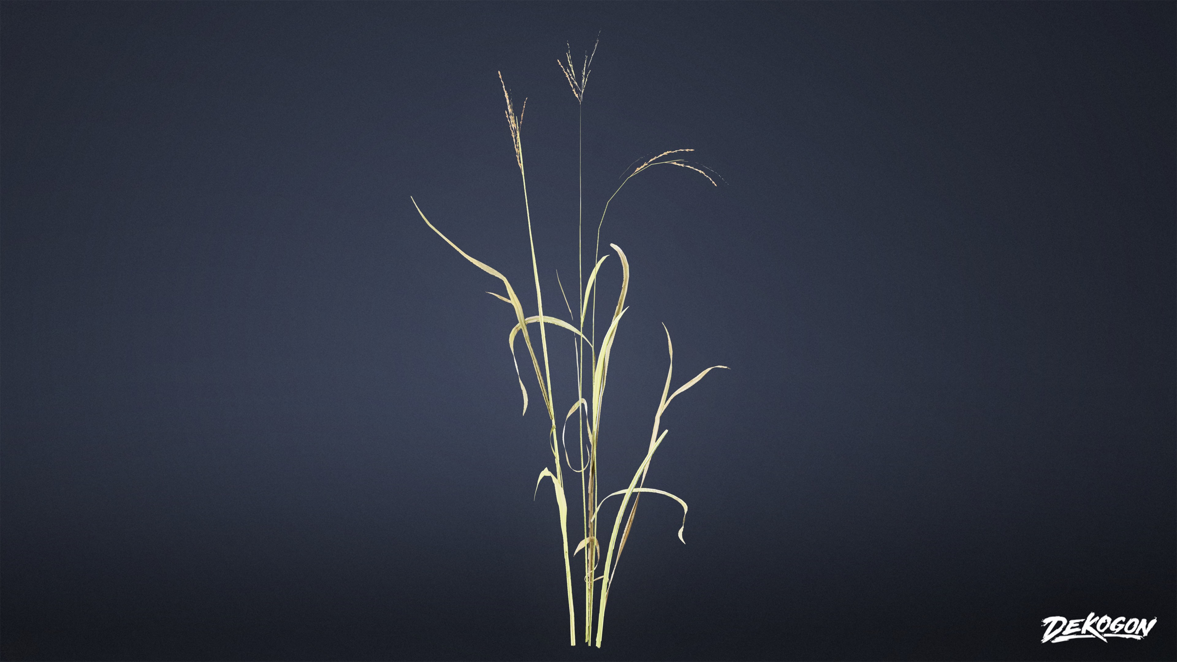 FOLIAGE - Grass Tall Wild 01 - LOW POLY Low-poly 3D model_4