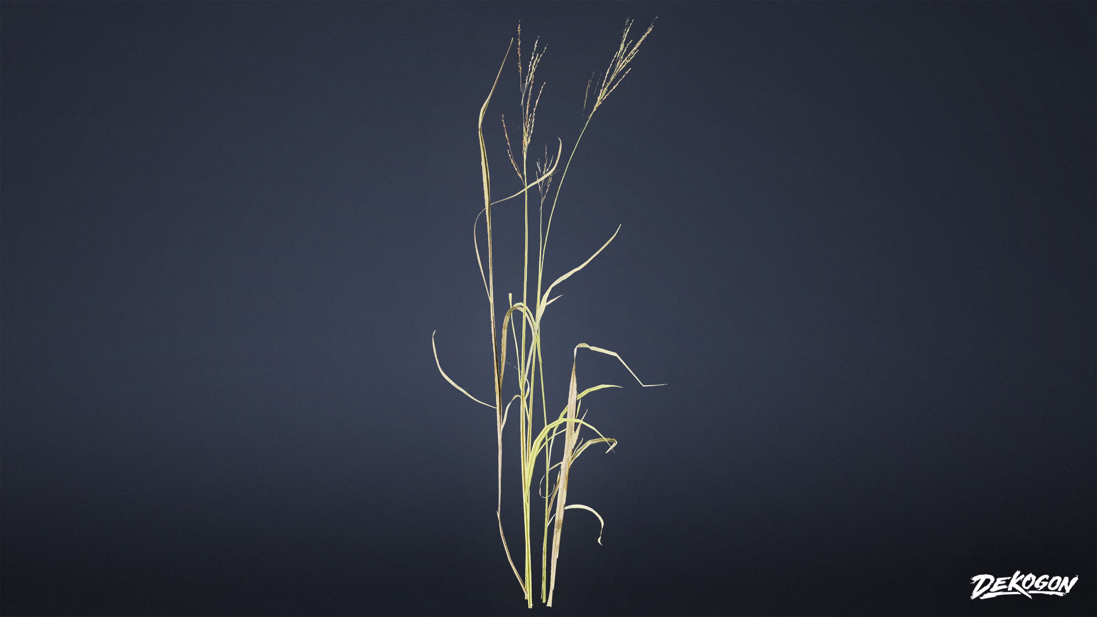 FOLIAGE - Grass Tall Wild 01 - LOW POLY Low-poly 3D model_3