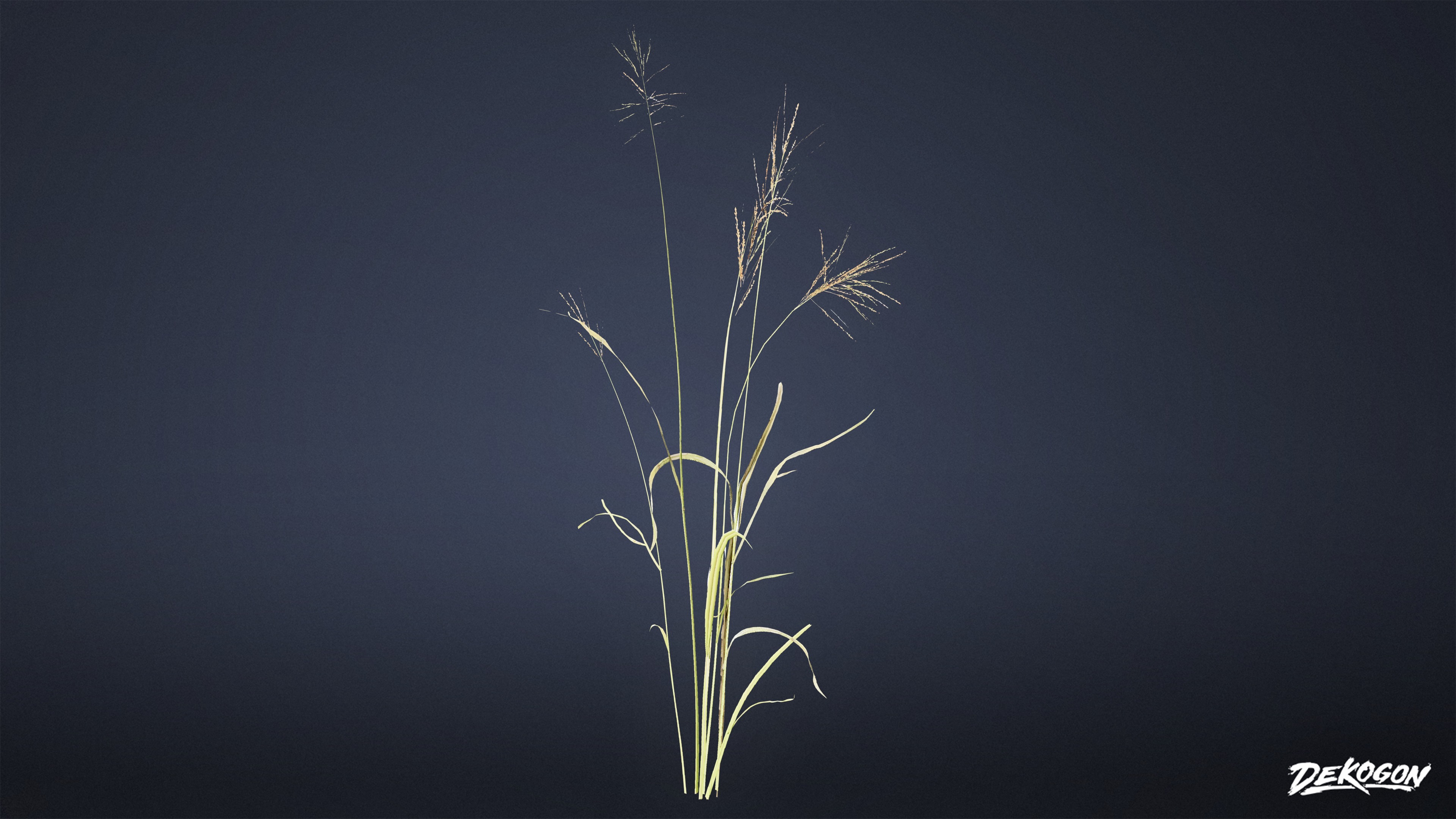 FOLIAGE - Grass Tall Wild 01 - LOW POLY Low-poly 3D model_1