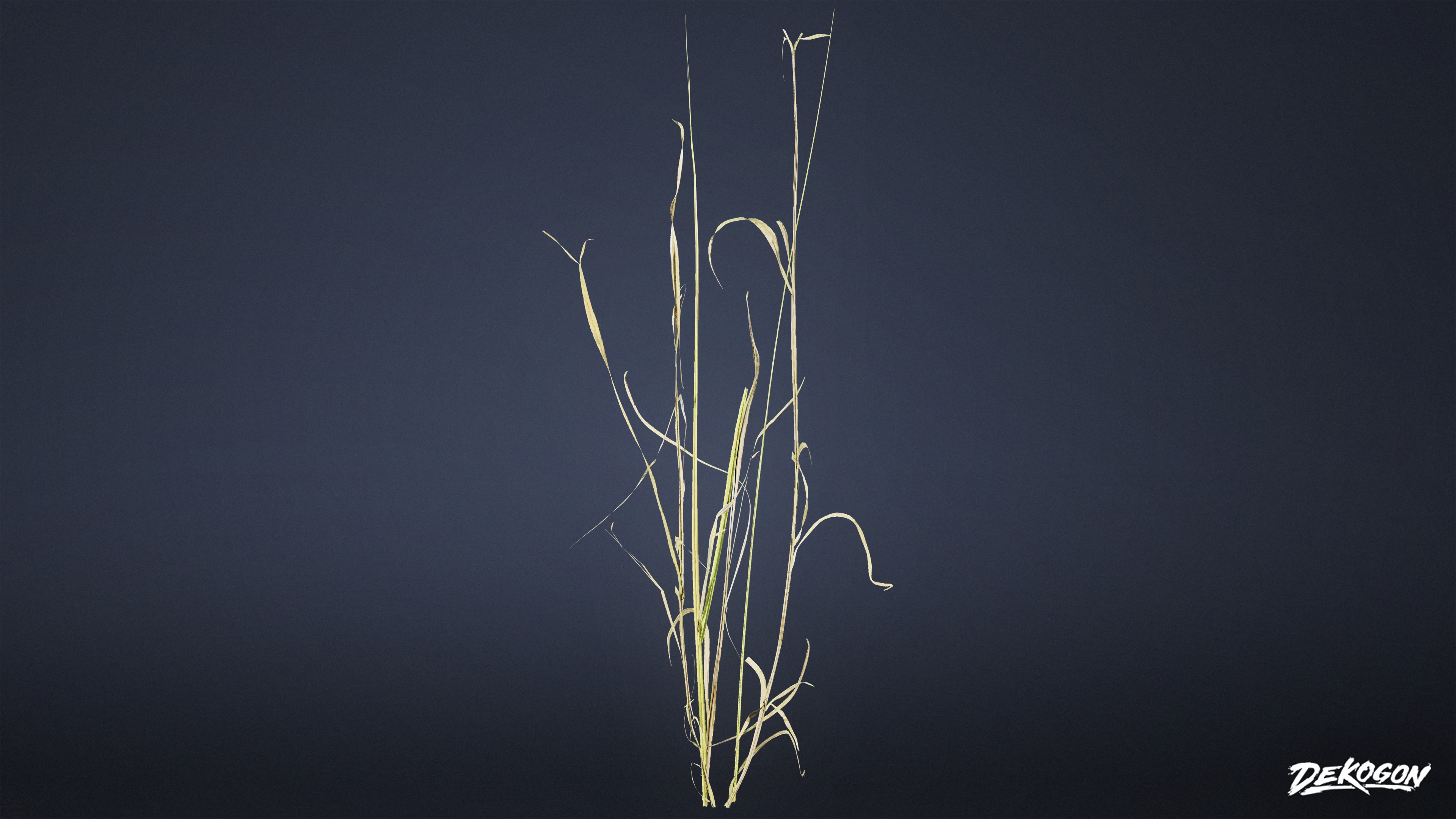 FOLIAGE - Grass Tall Wild 01 - LOW POLY Low-poly 3D model_5