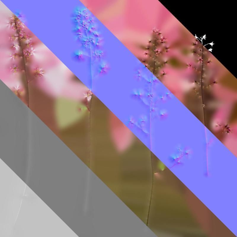 Anydrafts Heuchera micrantha Flower 07 Texture_8