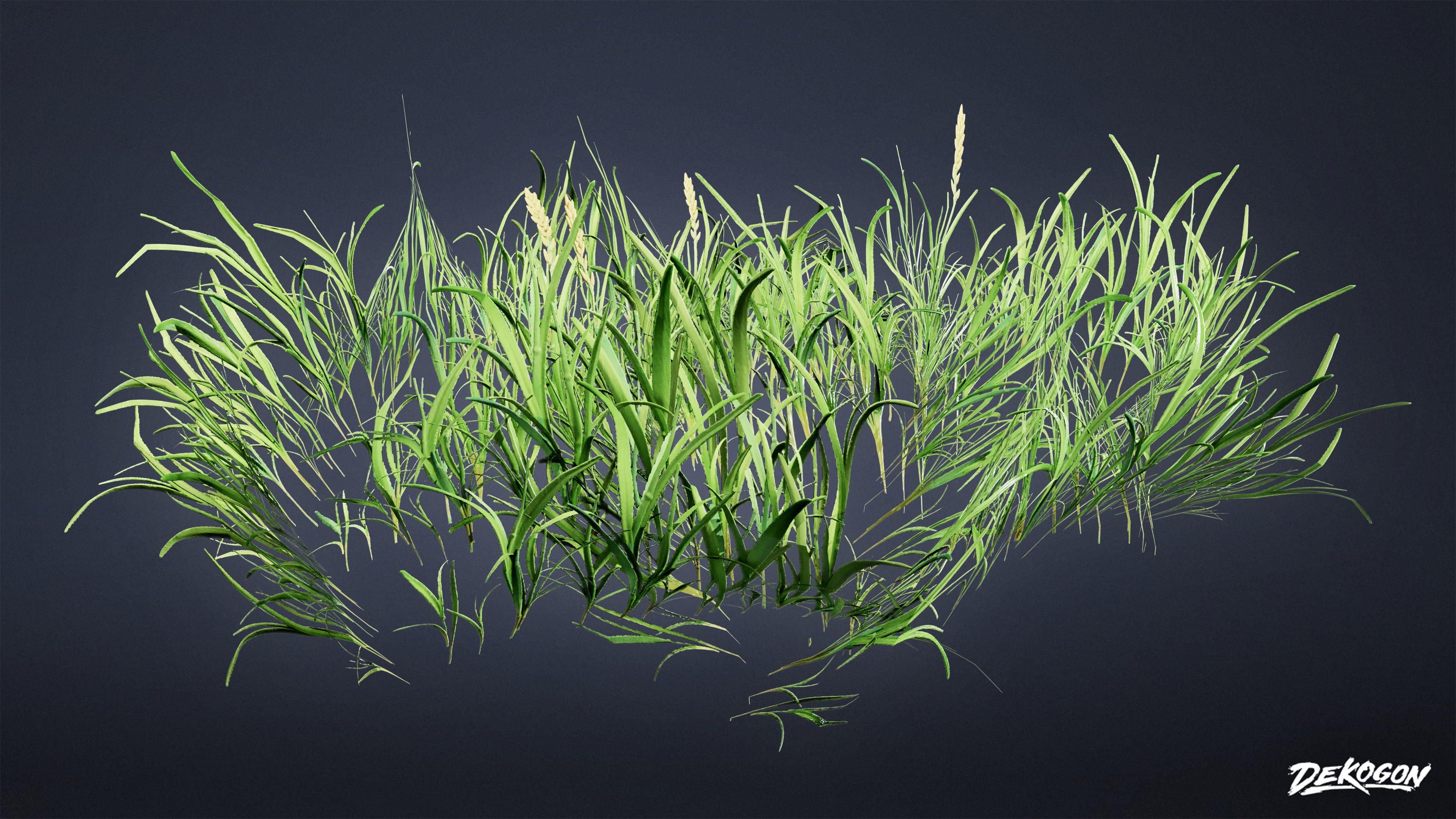 FOLIAGE - Grass Clumps 01 - LOW POLY Low-poly 3D model_6