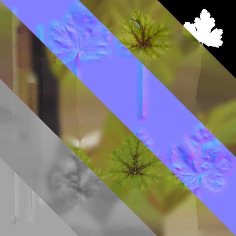 Anydrafts Heuchera micrantha Leaf 10 F Texture_8