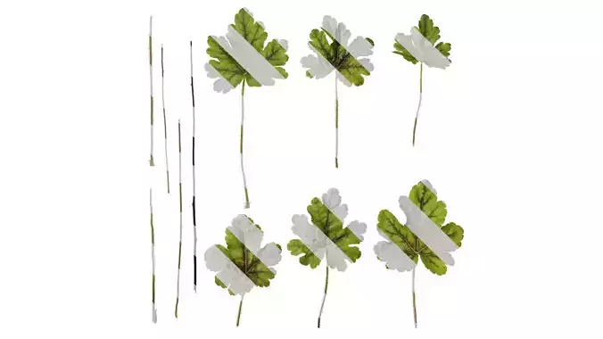 Anydrafts Heuchera micrantha Leaf 10 F