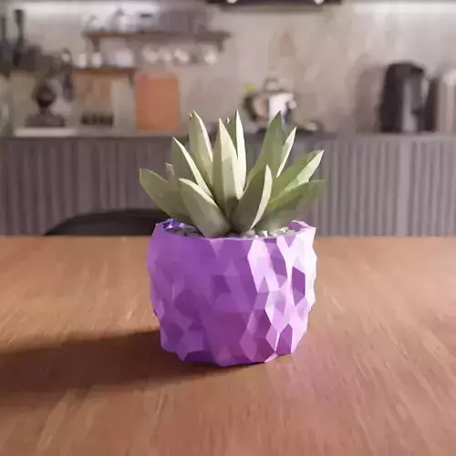 Asteroid Desk Planter - 039