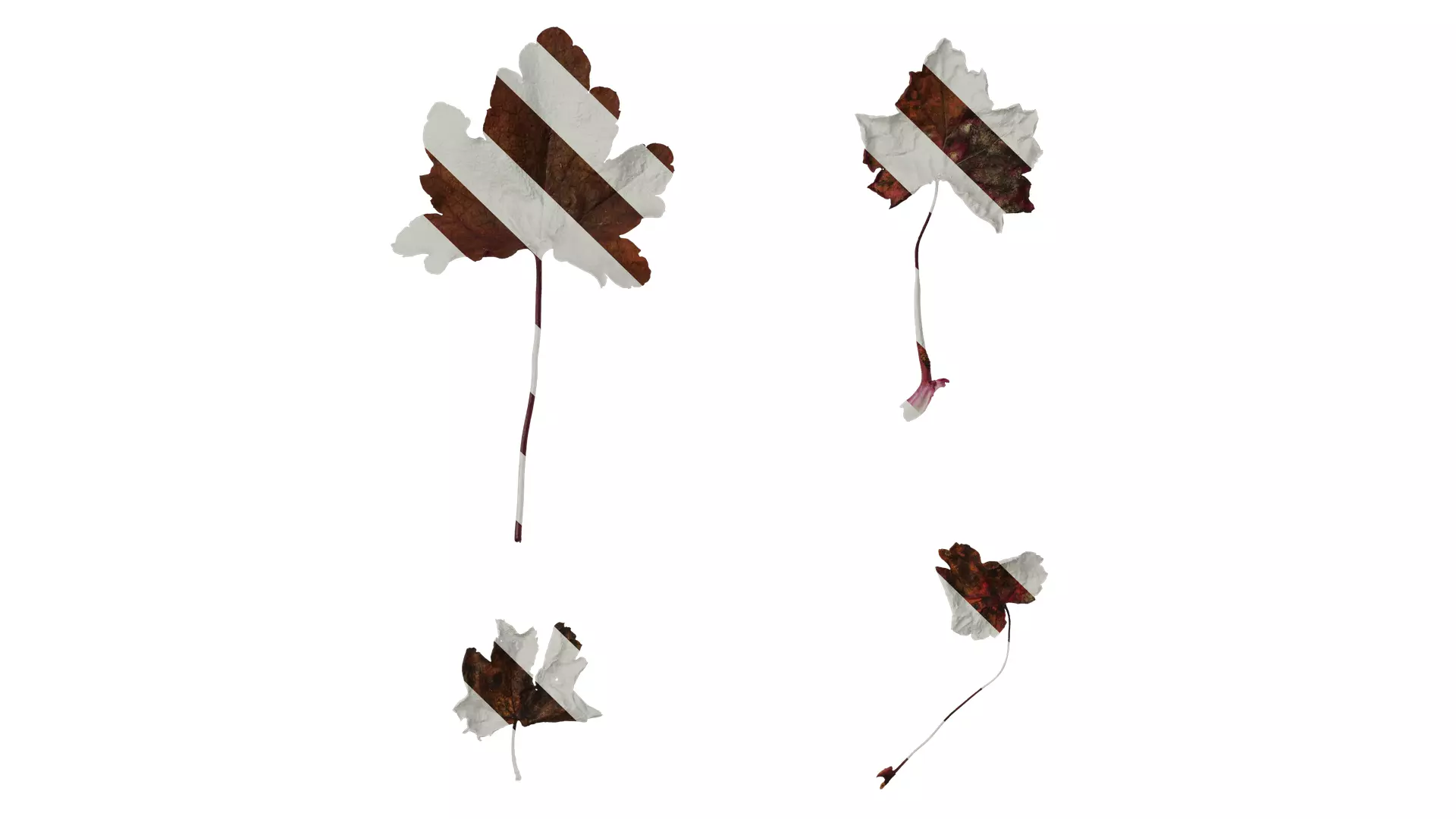 Anydrafts Heuchera micrantha Leaf 12 F Texture_0