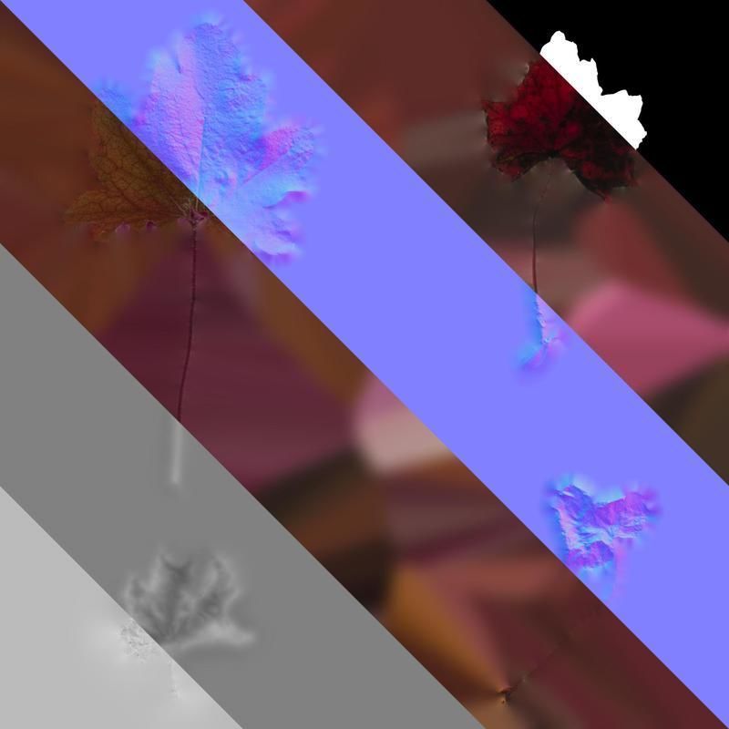 Anydrafts Heuchera micrantha Leaf 12 F Texture_8