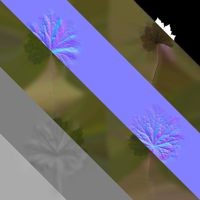 Anydrafts Heuchera micrantha Leaf 13 F Texture_8