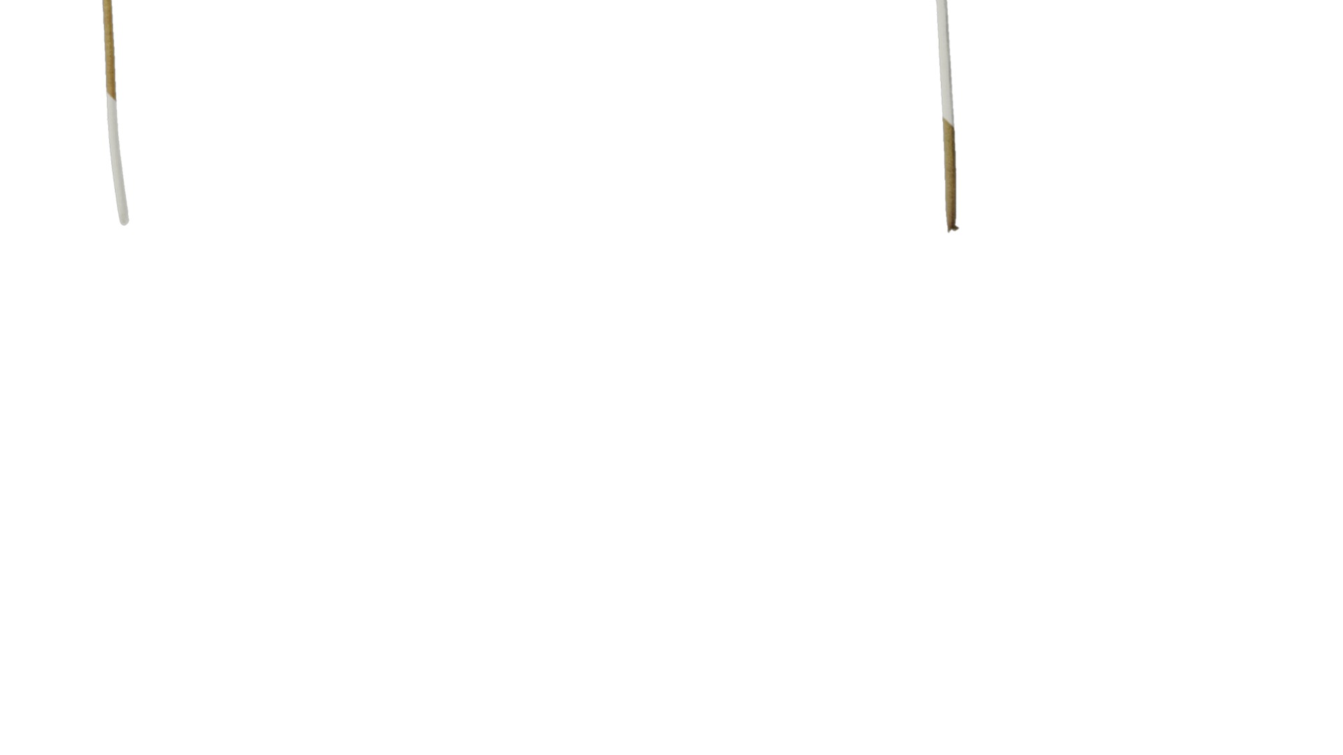 Anydrafts Heuchera micrantha Leaf 15 F Texture_4