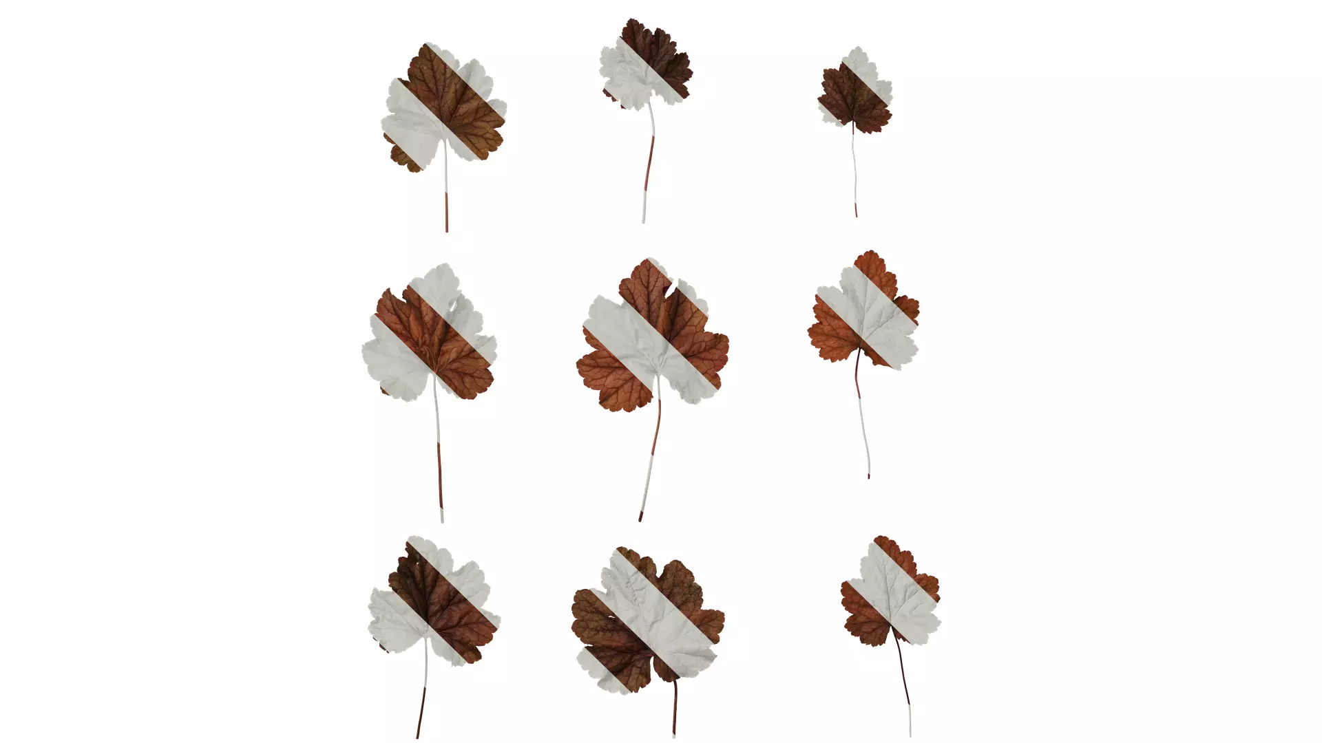 Anydrafts Heuchera micrantha Leaf 16 F Texture_0