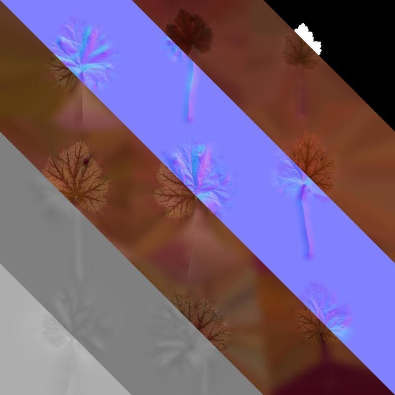 Anydrafts Heuchera micrantha Leaf 16 F Texture_8