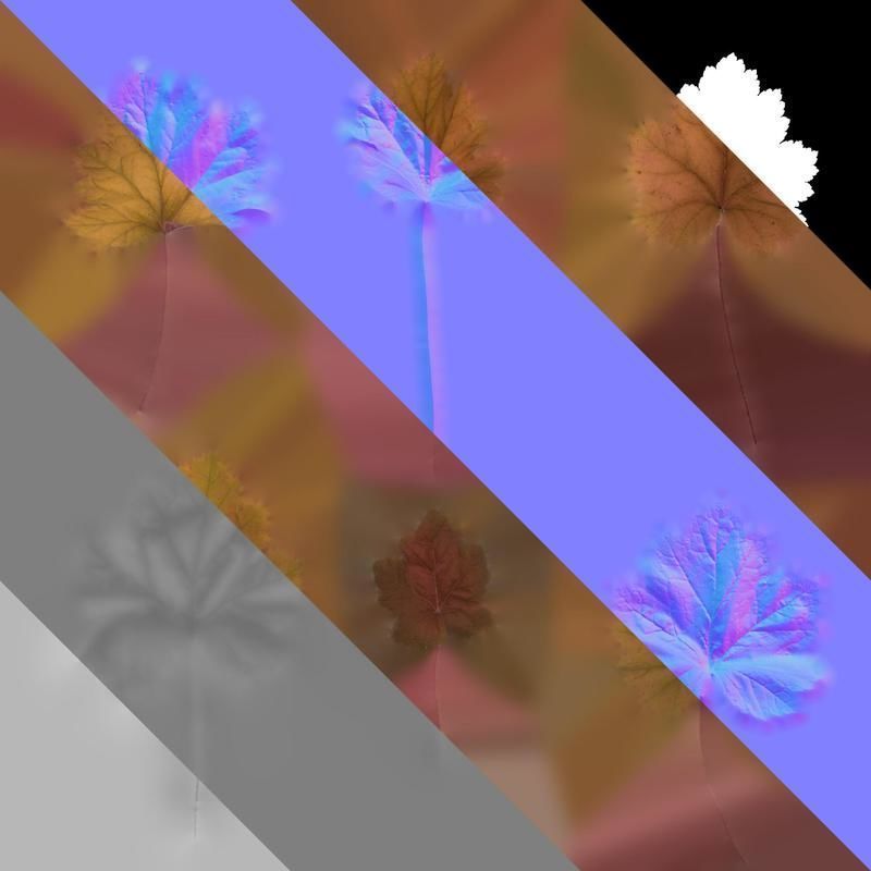 Anydrafts Heuchera micrantha Leaf 17 F Texture_8