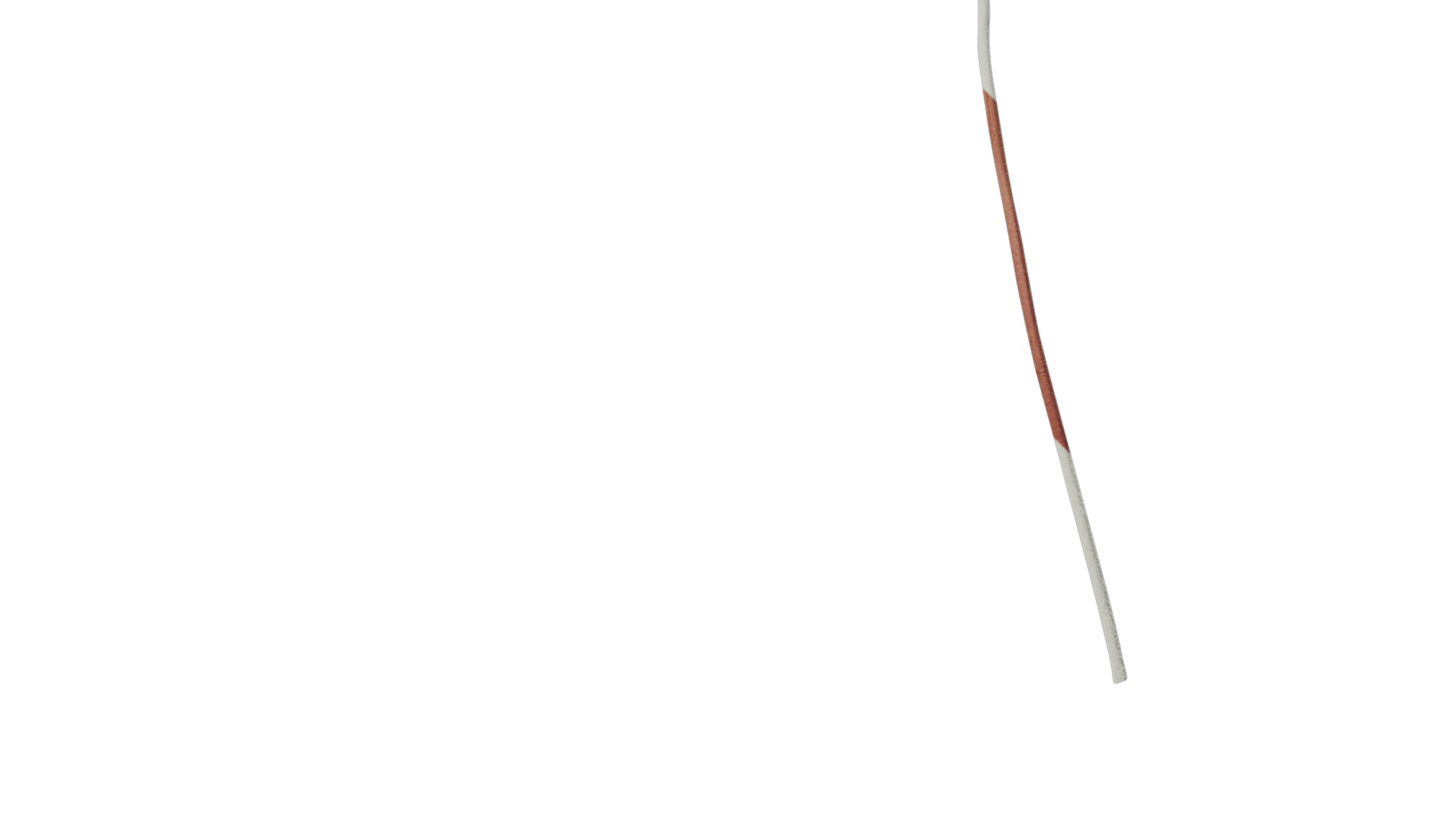 Anydrafts Heuchera micrantha Leaf 17 F Texture_4