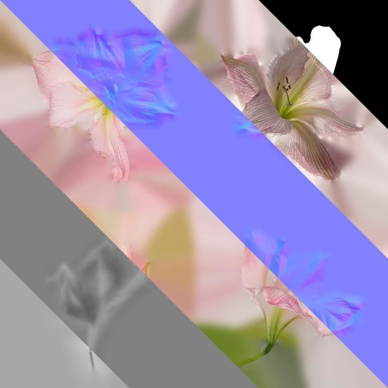Anydrafts Hippeastrum striatum Flower 06 Texture_8