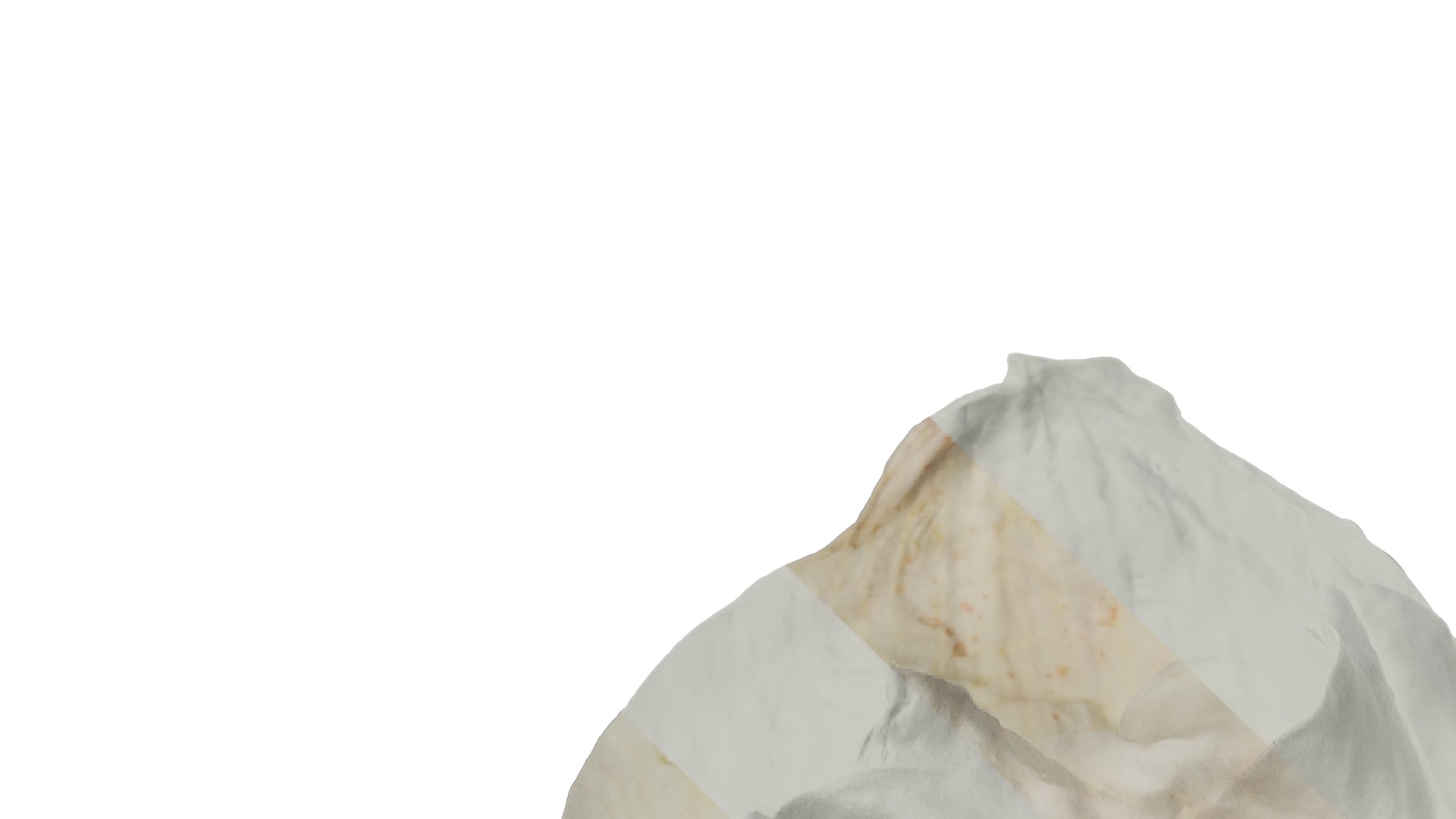 Anydrafts Hippeastrum striatum Flower 10 Texture_1