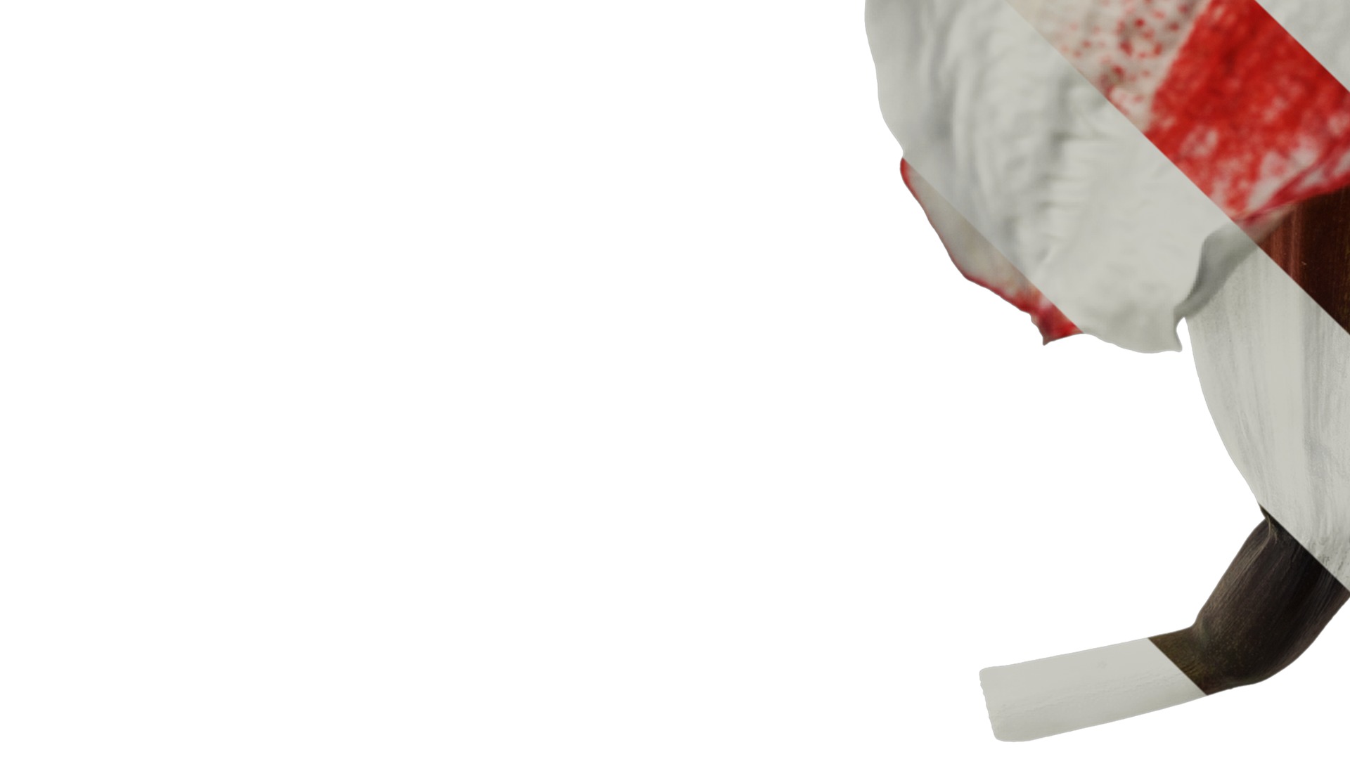 Anydrafts Hippeastrum striatum Flower 11 Texture_5