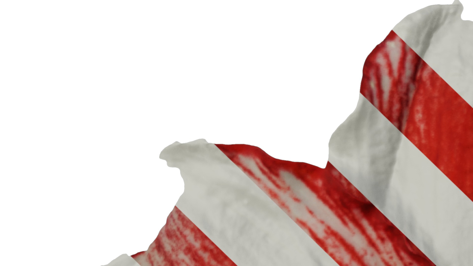 Anydrafts Hippeastrum striatum Flower 15 Texture_1