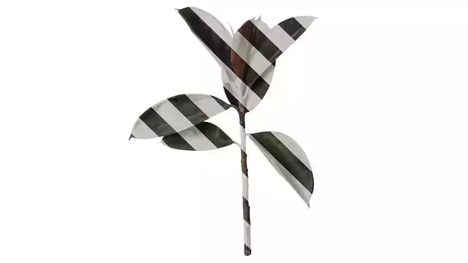 Anydrafts Ficus elastica 01 Atlas 02