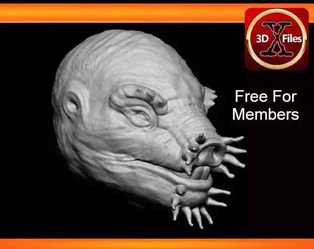 Star Wars - Condluran Head sculpt -Freck Custom Action Figure 