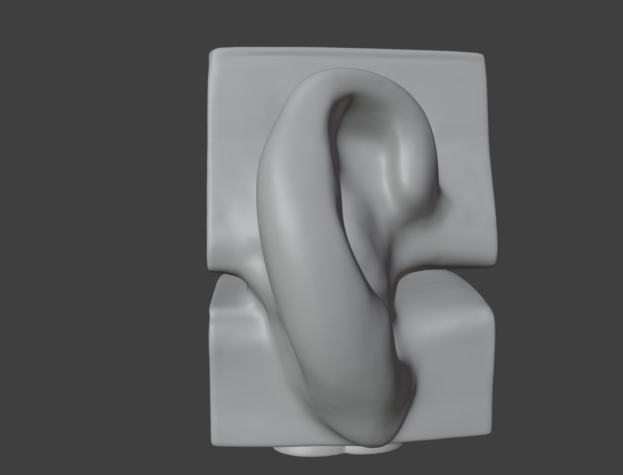 3D Basic Ear Anatomy Model 3D print model_3
