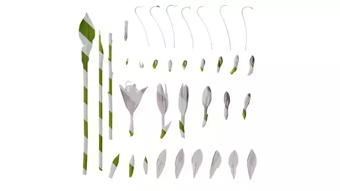 Anydrafts Hosta justine Atlas 02