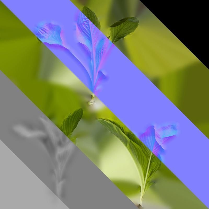 Anydrafts Hosta justine Atlas 06 Texture_8