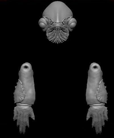 Admiral Ackbar Head Sculpt - Star Wars Custom Action Figure 3D print model_2