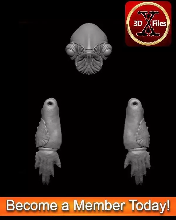 Admiral Ackbar Head Sculpt - Star Wars Custom Action Figure 3D print model_0