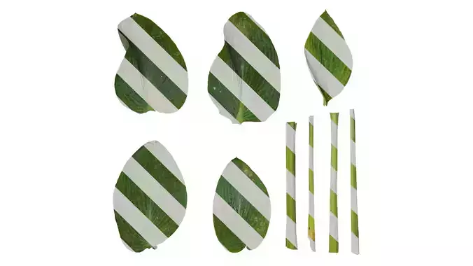 Anydrafts Hosta justine Leaf 03 F