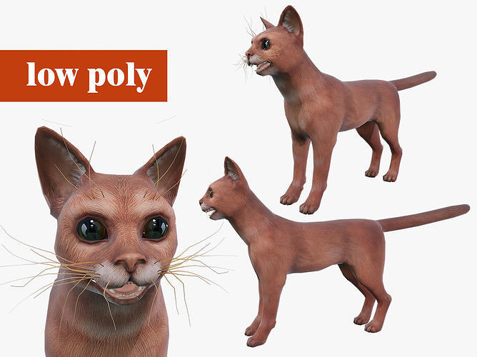 Cat 3d 3D model Low-poly 3D model