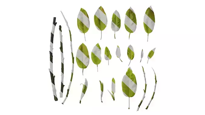 Anydrafts Ficus virens Leaf 11