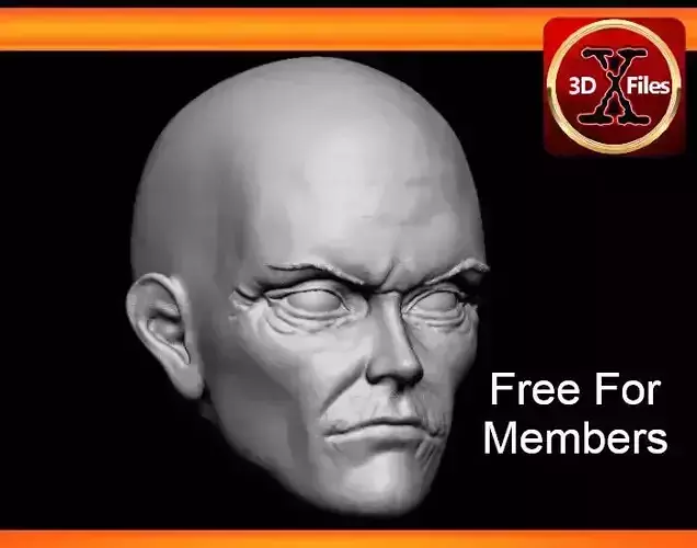X-MEN Action Figure Head sculpt - Cassandra Nova 3D print model