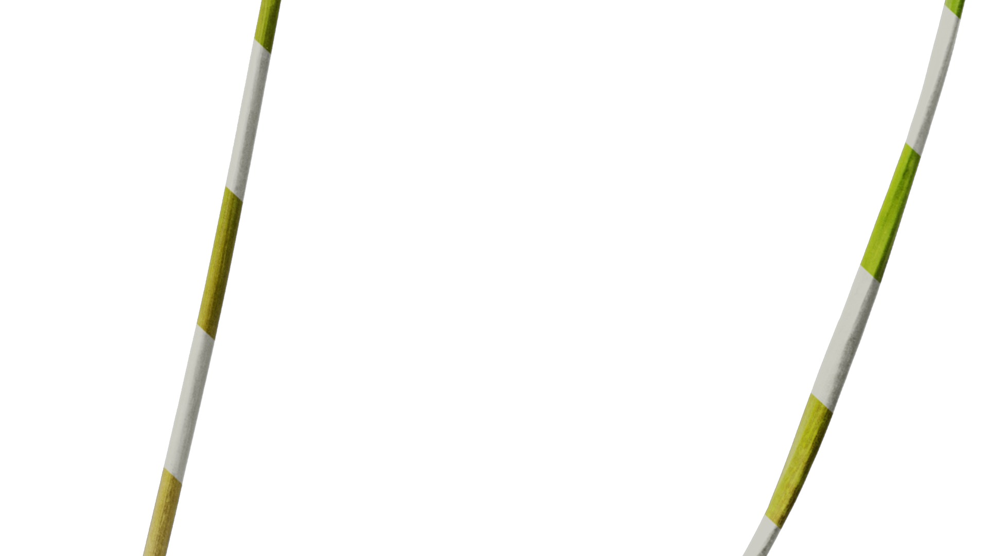 Anydrafts Ipheion uniflorum alberto castillo Atlas 01 Texture_6