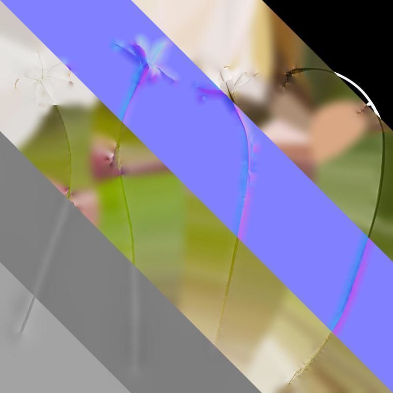 Anydrafts Ipheion uniflorum alberto castillo Atlas 01 Texture_8